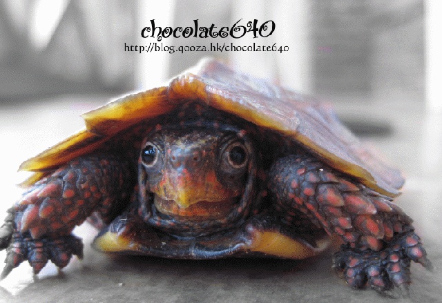 ˵