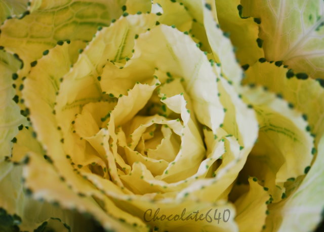 ˵