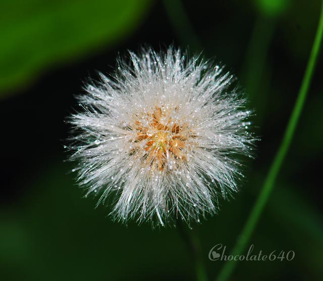 ˵