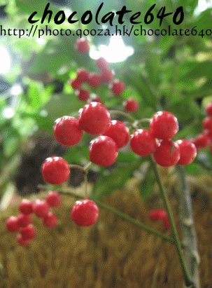 ˵