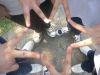 �۬�(�ۤv�v��)