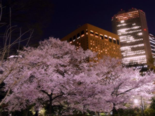 ˵