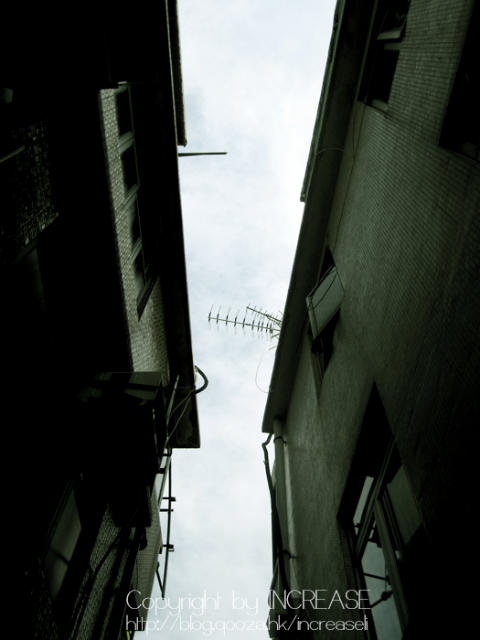 ˵