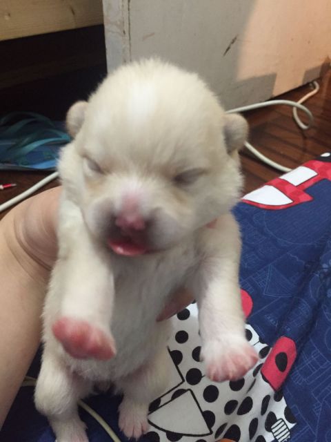 �˵����