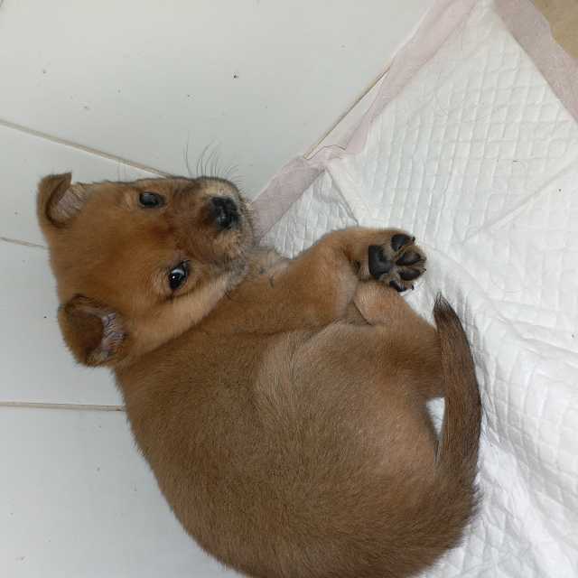 �˵����