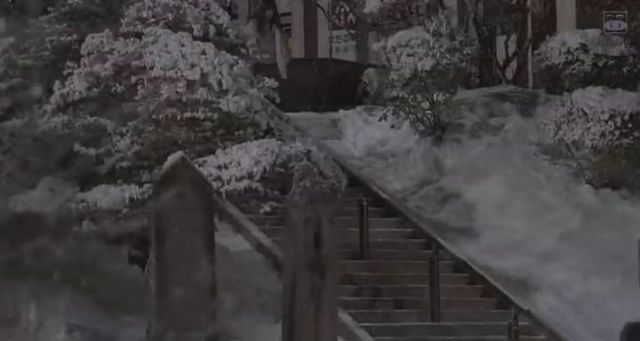˵
