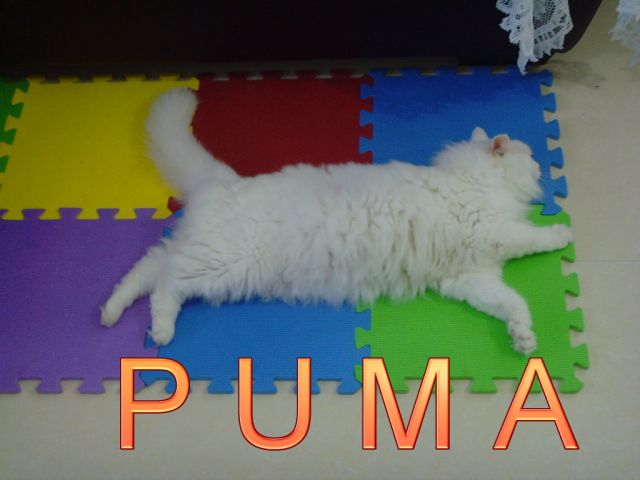 ˵