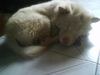 **MY �p��