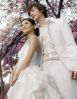 �˵����