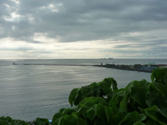 ˵