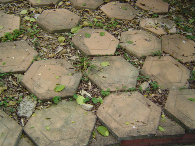 ˵