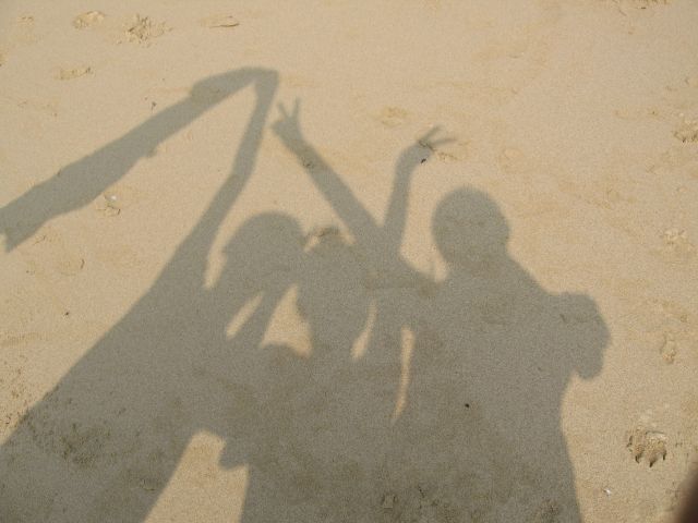 ˵