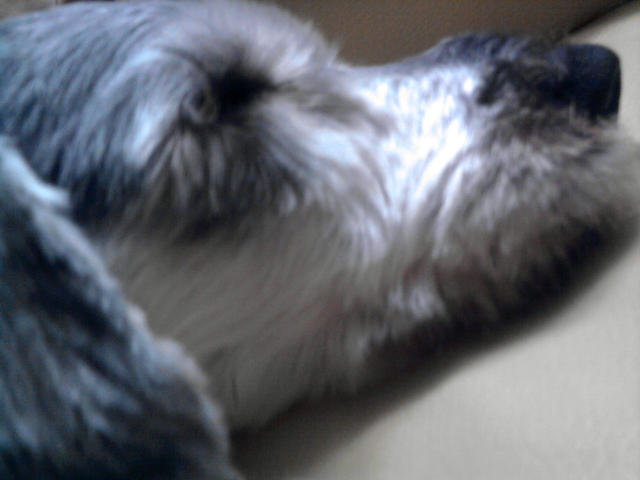 ˵