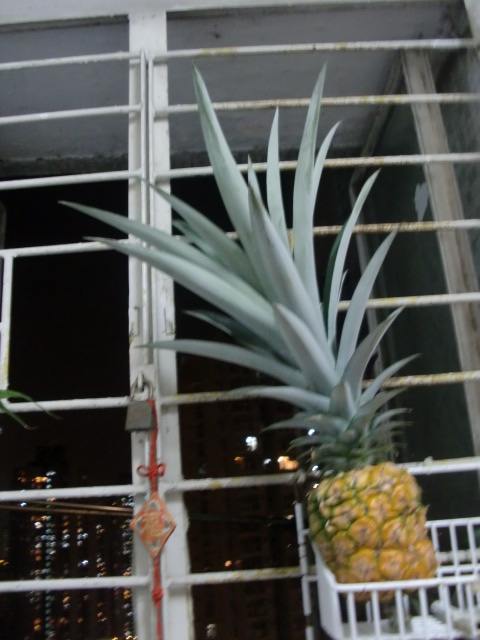 ˵