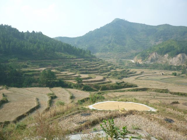 ˵