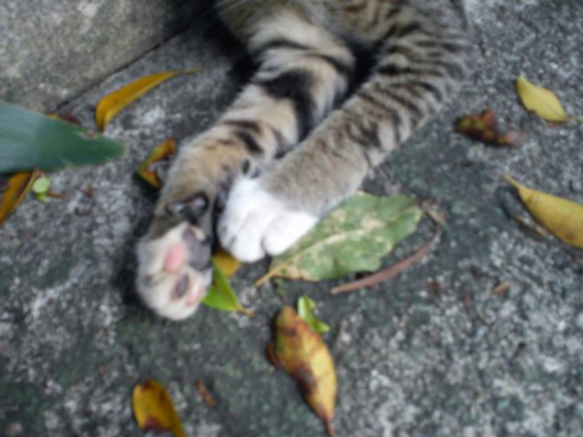 ˵