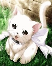 ˵