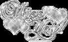 ˵