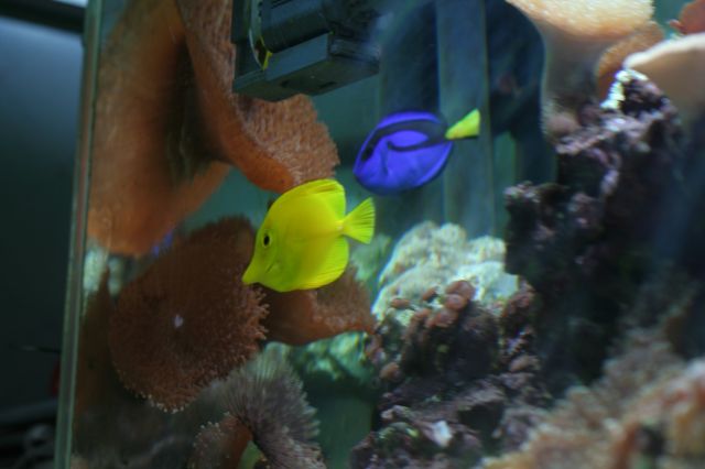 �˵����