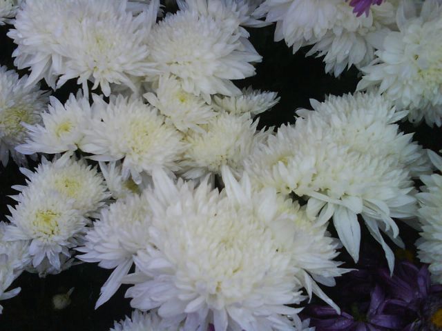 ˵