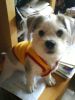 �p��]!=)