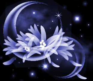 ˵