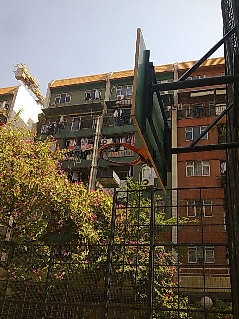 ˵