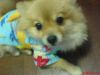 ' *♥ ��y' ��ovely_��et !&-