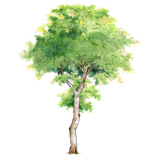 �˵����