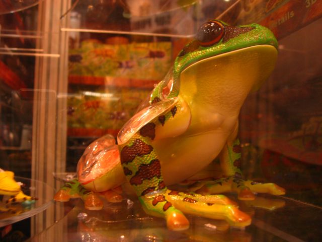 ˵