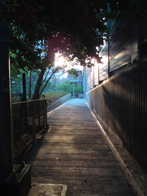 ˵