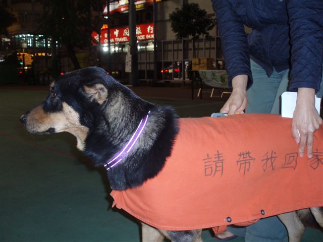 ˵