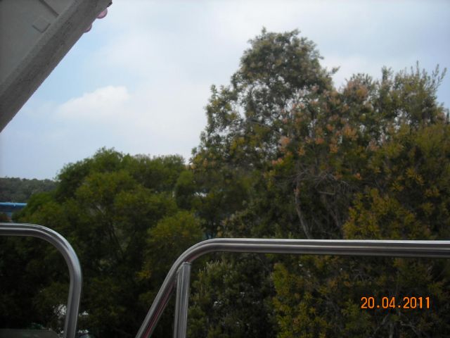 ˵