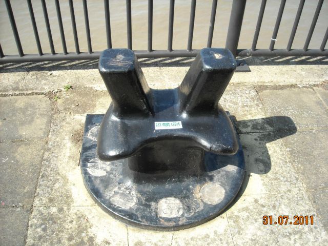 ˵