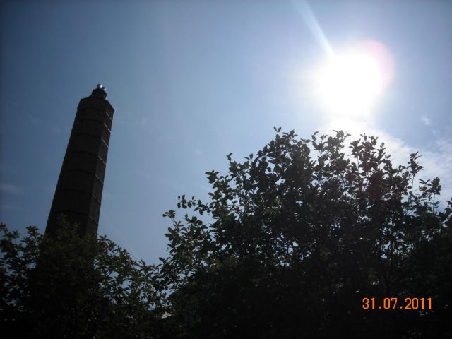 ˵