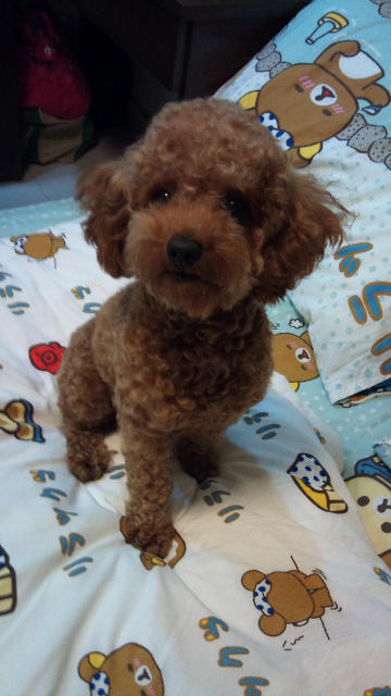 ˵